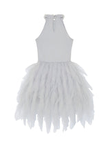Hall Of Mirrors Tutu Dress