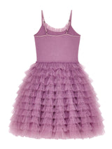 Velvet Vision Tutu Dress