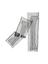 Bone Appetit Leggings