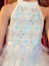 Stardom Tutu Dress