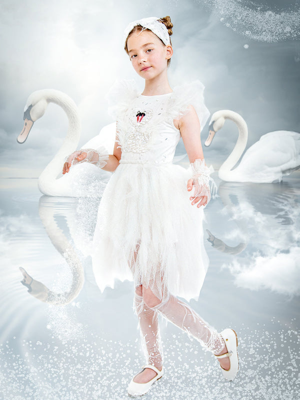 Swan Lake Gift Set