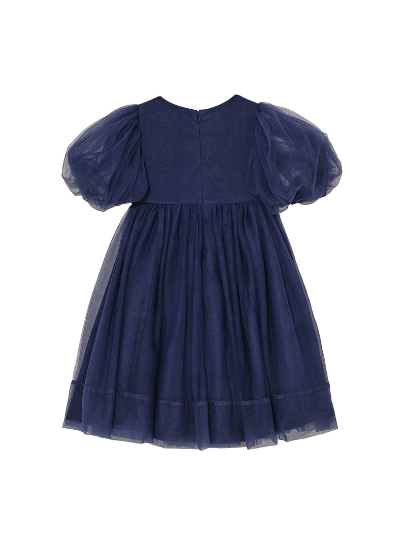 Starlight Serenade Tulle Dress