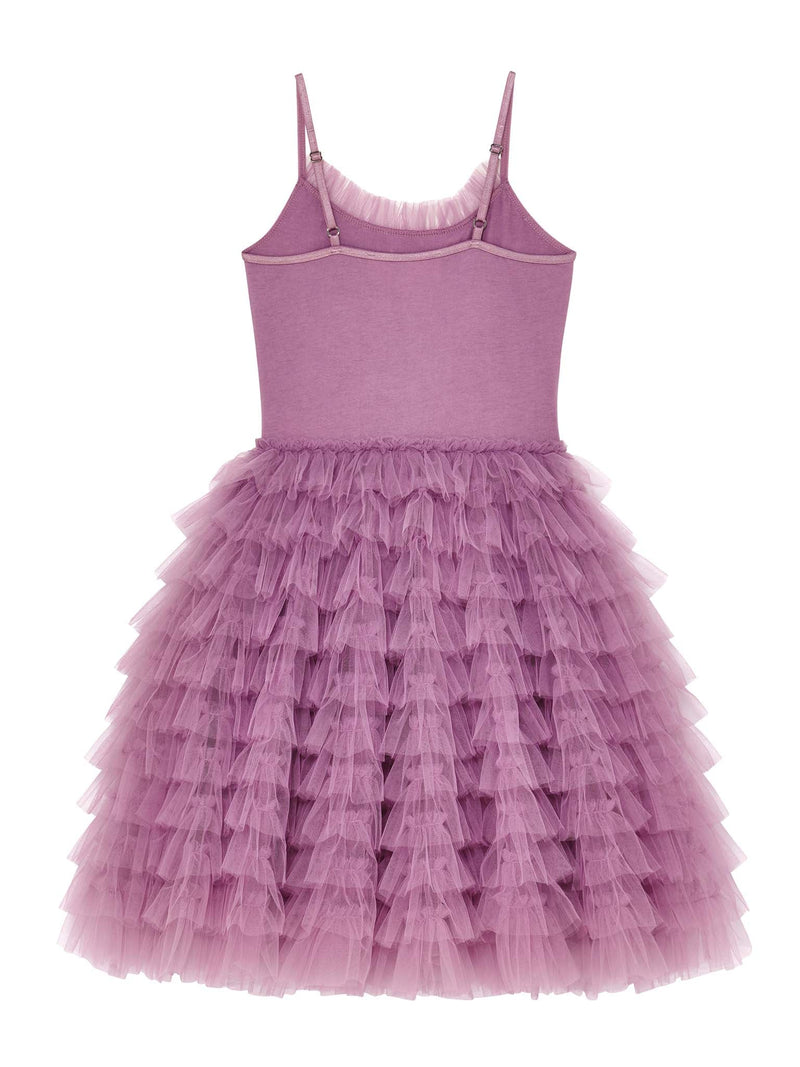 Velvet Vision Tutu Dress