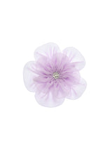 Candybeam Gift Set | Value $215