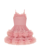 Petunia Tutu Dress