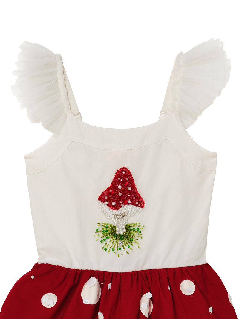 Mushroom Magic Gift Set | €250 Value
