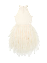 Glacier Grace Tutu Dress