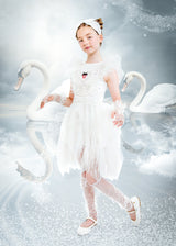 Swan Lake Headband