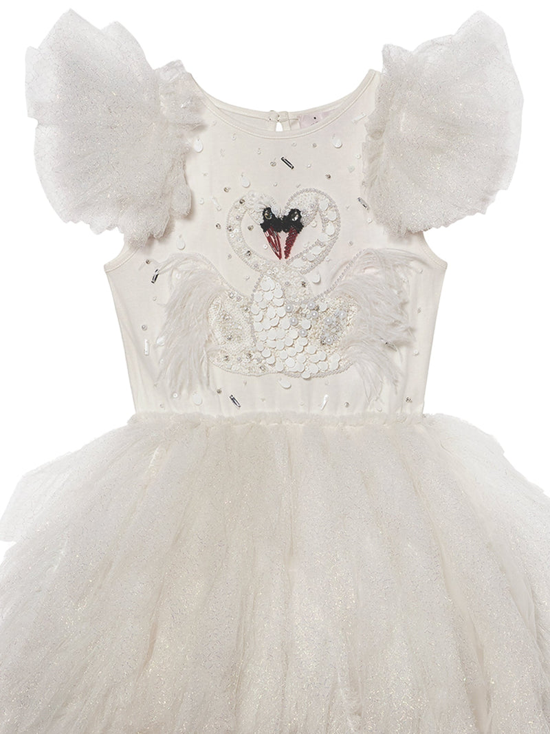 Swan Lake Dress