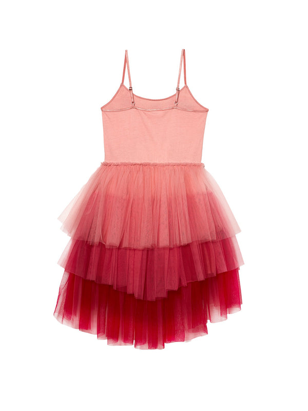 Assemblage Tutu Dress