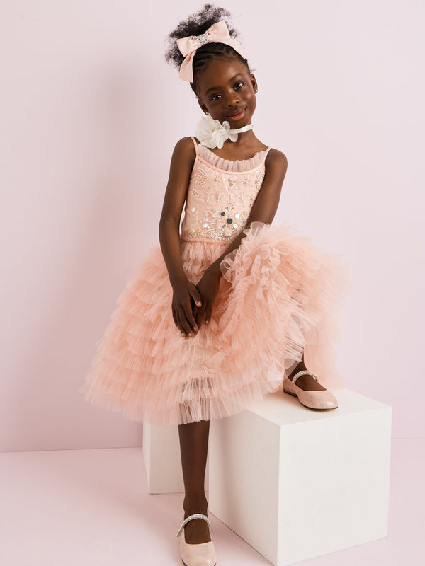 Crystal Palace Tutu Dress