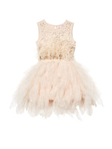 Snow Princess Tutu Dress