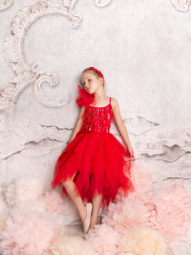 Ruby Dazzle Tutu Dress