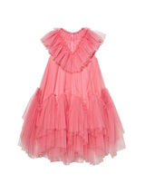 Lacquer Tulle Dress