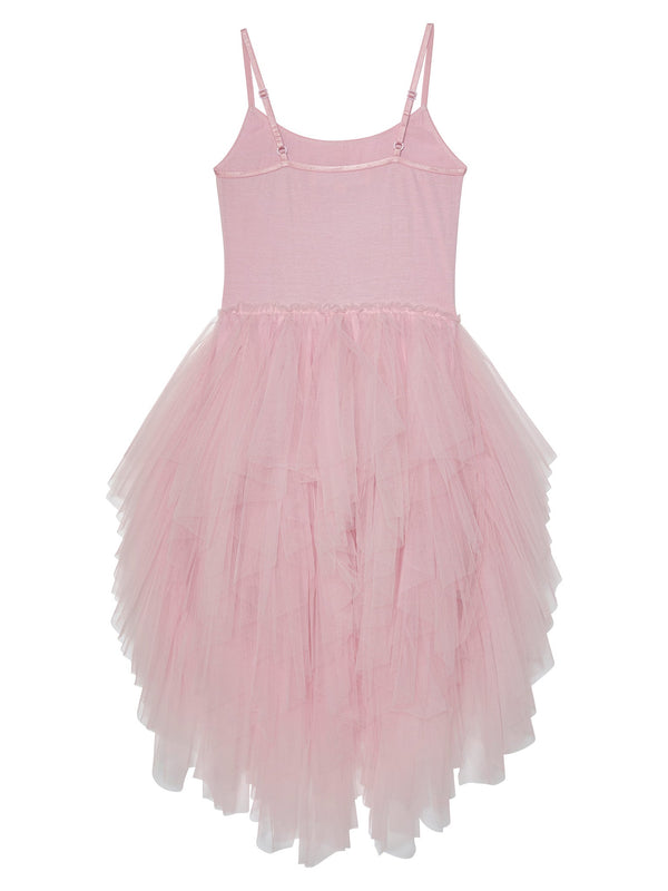 Winters Blossom Tutu Dress