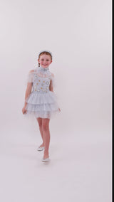 Starry Delight Tutu Dress