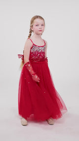 Winter Waltz Tutu Dress