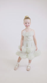 Petunia Tutu Dress