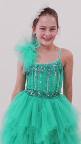 Merry Mistletoe Tutu Dress